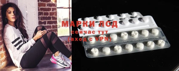 сатива Арсеньев