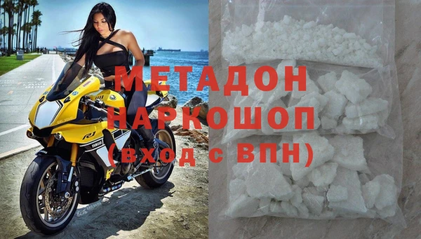 сатива Арсеньев