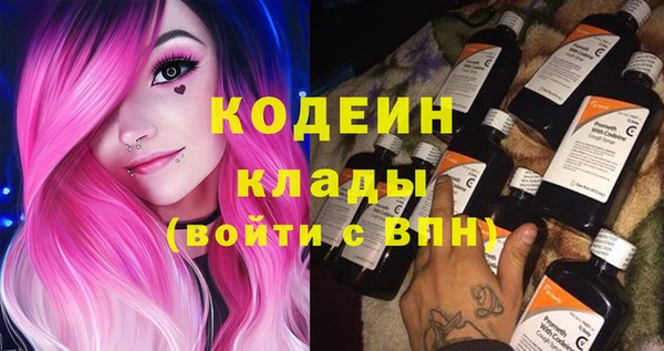 сатива Арсеньев