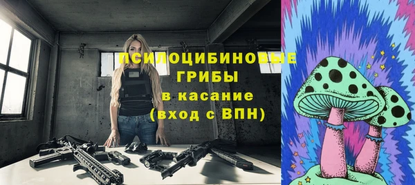 сатива Арсеньев