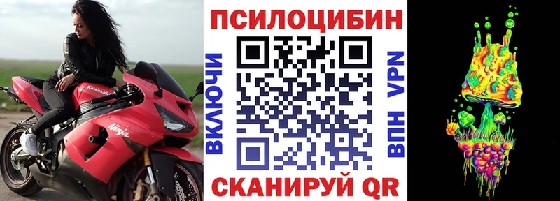 mega ONION  где продают   Вятские Поляны  Галлюциногенные грибы Psilocybine cubensis 