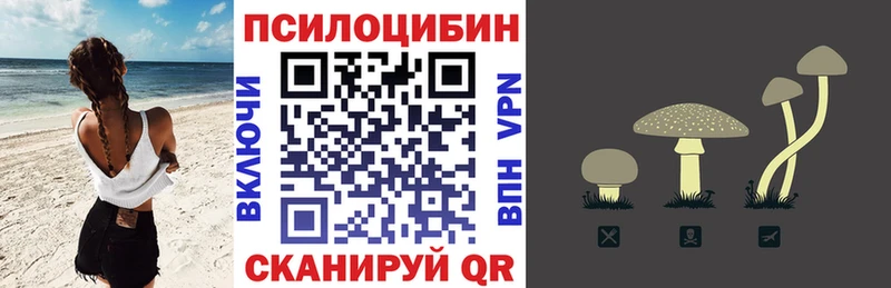 Псилоцибиновые грибы GOLDEN TEACHER Вятские Поляны